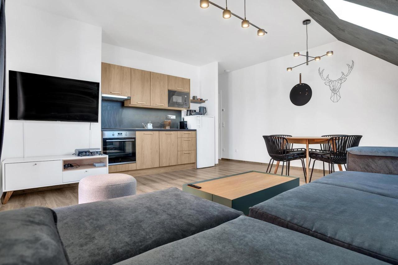 Mirabel Apartments Klinovec Loucna pod Klinovcem Luaran gambar